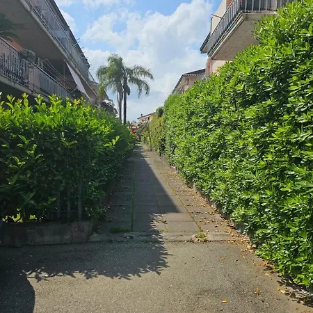 Oritan House Apartment Schiso